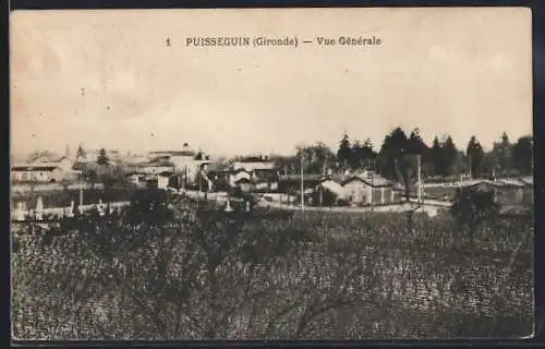 AK Puisseguin, Vue Générale