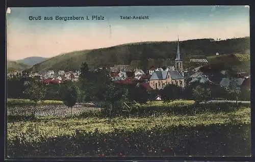 AK Bergzabern /Pfalz, Totalansicht von einer Wiese aus