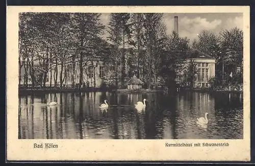 AK Bad Kösen, Kurmittelhaus mit Schwanenteich