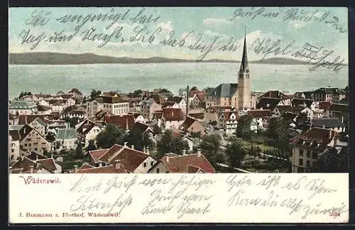AK Wädenswil, Totalansicht mit Gewässer und Bergpanorama
