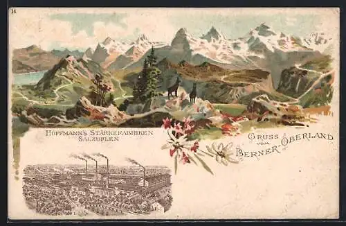 Lithographie Bad Salzuflen, Hoffmanns Stärkefabriken, Berglandschaft im Berner Oberland mit Gämsen