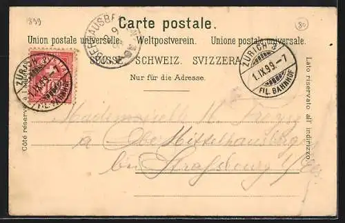 Lithographie Zürich, Ortspanorama