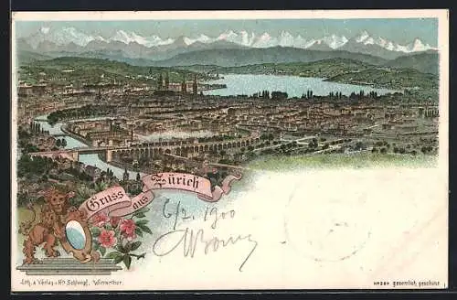 Lithographie Zürich, Panoramablick auf Stadt und Alpen
