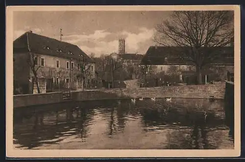 AK Droyssig, Blick vom Markt auf das Schloss