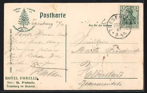 AK Treseburg im Bodetal, Hotel Forelle mit Passanten, Inh. R. Palmie