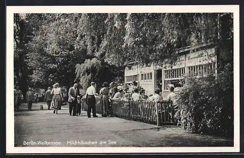 AK Berlin-Weissensee, Milchhäuschen am See