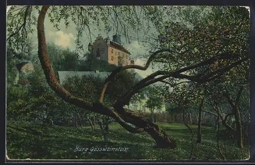 AK Gössweinstein /Fränk. Schweiz, Motiv von der Burg