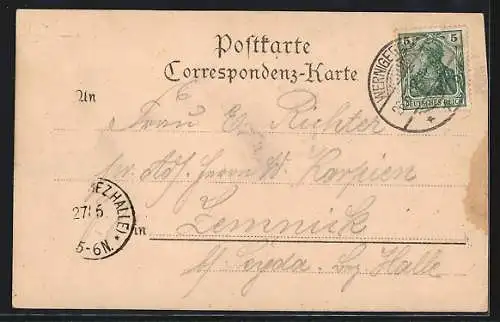 AK Wernigerode, Gasthaus Steinerne Renne, Wasserfall und Felsen