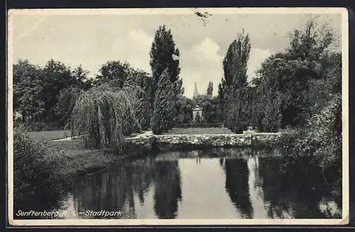 AK Senftenberg N.-L., Stadtpark mit Wasserpartie