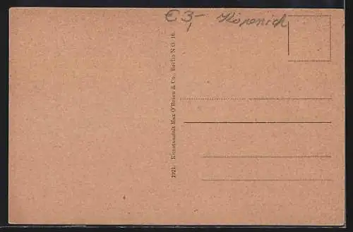 AK Berlin-Köpenick, Am Schmetterlingshorst, Langer See