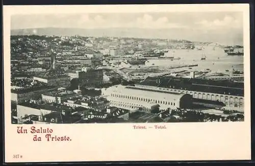 AK Triest, Totalansicht mit Blick in das Hafen