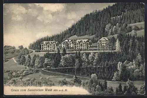 AK Wald, Blick um Sanatorium