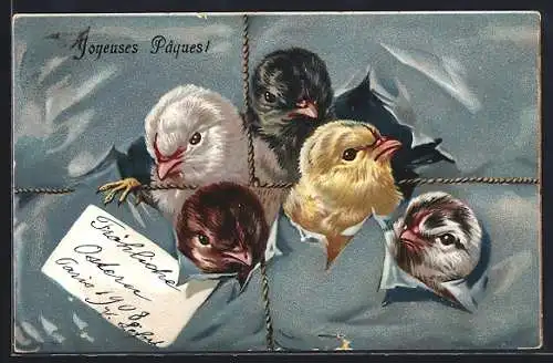 Präge-AK Fröhliche Ostern, Osterküken platzen aus Packet
