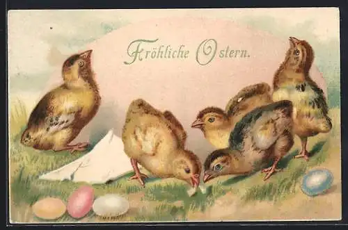 Präge-AK Osterküken und bunte Ostereier auf einer Wiese
