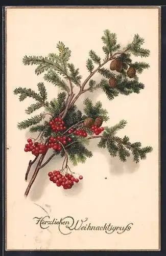 AK Herzlichen Weihnachtsgruss, Tannenzweig mit Zapfen