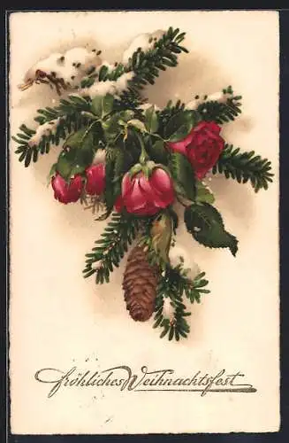 AK Fröhliches Weihnachtsfest, Verschneite Tannen- und Rosenzweige