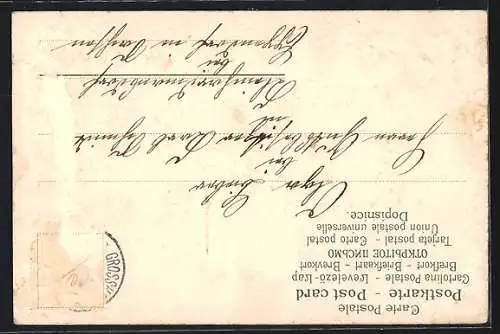 AK Prosit Neujahr, Jahreszahl 1905 aus Vergissmeinnicht, Kleeblätter
