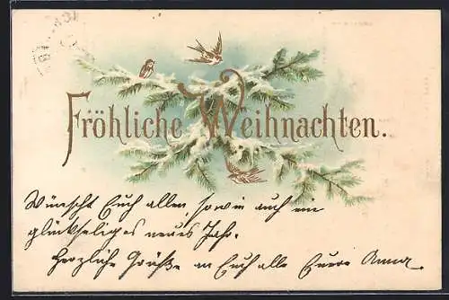 AK Fröhlicht Weihnachten, Schwalben mit verschneitem Tannenzweig