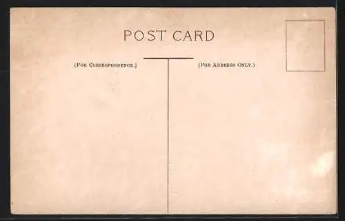 AK Passagierschiff SS Viking vor der Küste, Isle of Man Steam Packet Co.