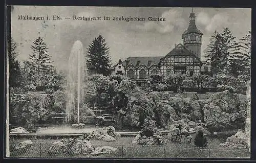 AK Mühlhausen i. Els., Restaurant im zoologischen Garten, mit Anlagen u. Springbrunnen