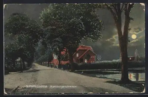 AK Schwarzenbek, Hamburgerstrasse bei Nacht