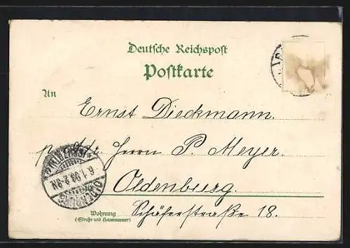 Lithographie Würzburg, Ortsansicht, Neue Universität