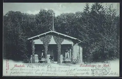 Mondschein-AK Rastede, Försterhaus im Park