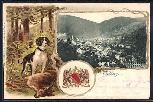 Passepartout-Lithographie Triberg, Ortsansicht aus der Vogelschau, Wappen