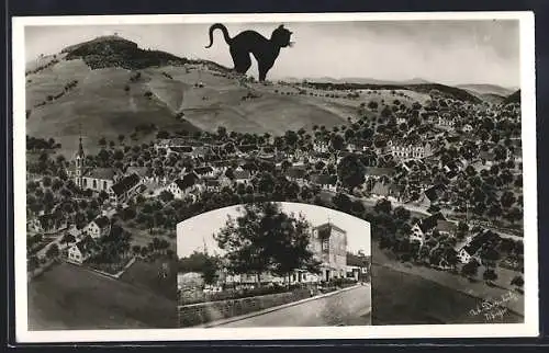 AK Waldkatzenbach, Gesamtansicht mit Katze & Strassenpartie