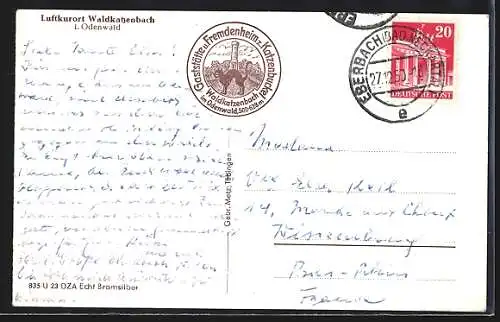 AK Waldkatzenbach, Gesamtansicht mit Katze & Strassenpartie