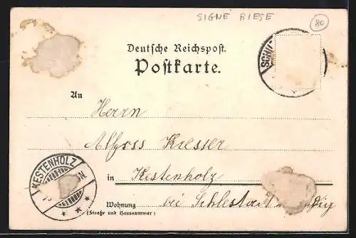 Künstler-AK C.Biese: Breisach, Blick über die Dächer