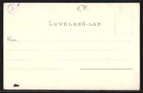 Lithographie Budapest, Städtische Redoute, Akademie der Wissenschaften, Deak Monument