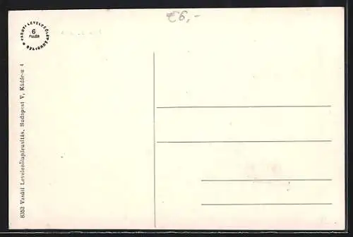 AK Bekesczaba, Föter, Partie im Ort