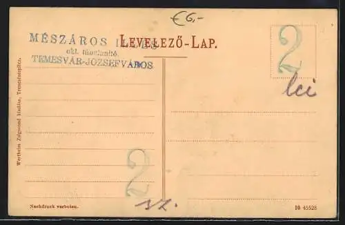 AK Trencsénteplicz, Gyogyterem