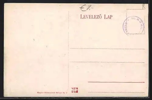 AK Hajmáskér, Látkép a viztoronyból