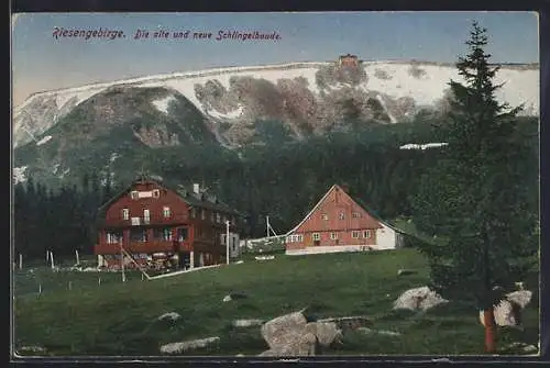 AK Schlingelbaude, Die alte und neue Schlingelbaude