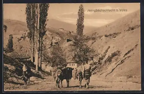 AK Veles, Partie in der Jeunybachschlucht