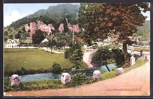 AK Behringersmühle, Parkpartie mit Berg im Hintergrund