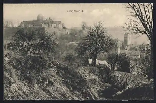 AK Kronach / Bayern, Ortsansicht mit Burg