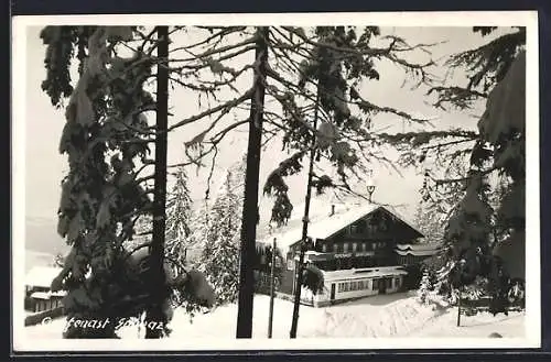 AK Schwaz, Der Alpengasthof Grafenast im Winter