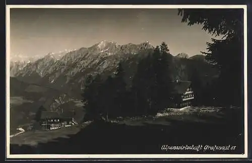 AK Schwaz, Alpengasthof Grafenast, Blick in die Berge