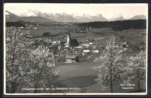 AK Strasswalchen, Ortsansicht zur Baumblüte, Frühlingsansicht