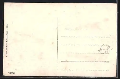 AK Sarmingstein a. d. Donau / Strudengau, Ortspartie