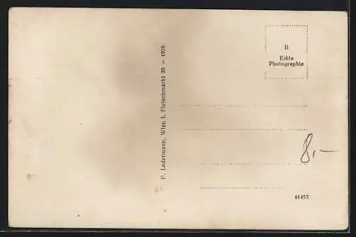 AK Sarmingstein an der Donau, Ortsansicht mit Fluss