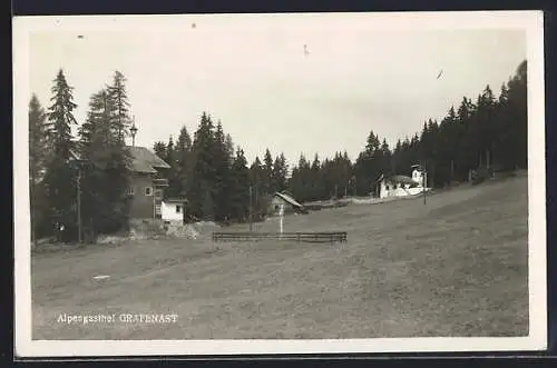 AK Schwaz / Tirol, Alpen-Gasthof Grafenast und Umgebung