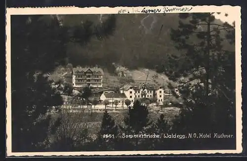 AK Waldegg /N. Ö., Hotel Kuchner mit Umgebung
