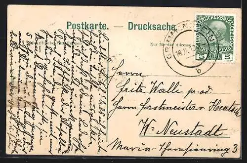 AK Grimmenstein, Bahnhof Edlitz-Grimmenstein, Pappenfabrik H. Walli und Bahnhof
