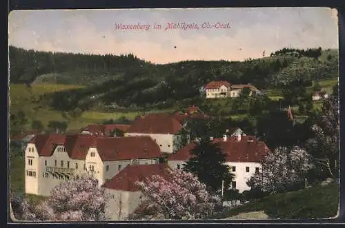 AK Waxenberg im Mühlkreis, Teilansicht des Ortes