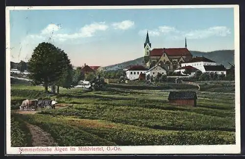 AK Aigen im Mühlviertel, Ortsansicht mit Feldern