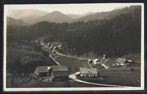 AK St. Aegyd am Neuwalde, Ulreichsberg, Blick auf Ort und Tal